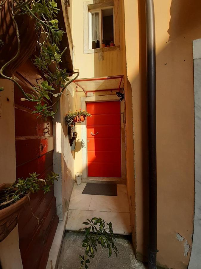 Apartamento il nido dell'arancio Carrara Exterior foto